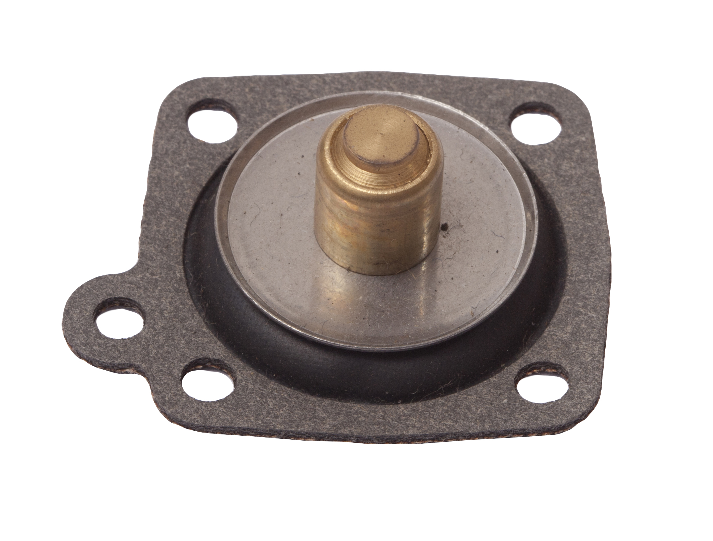 Diaphragm 34 & 36 TLC / TLP