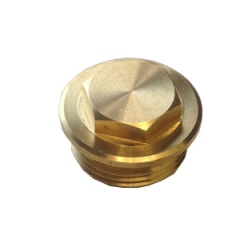 Plug - Needle valve cover